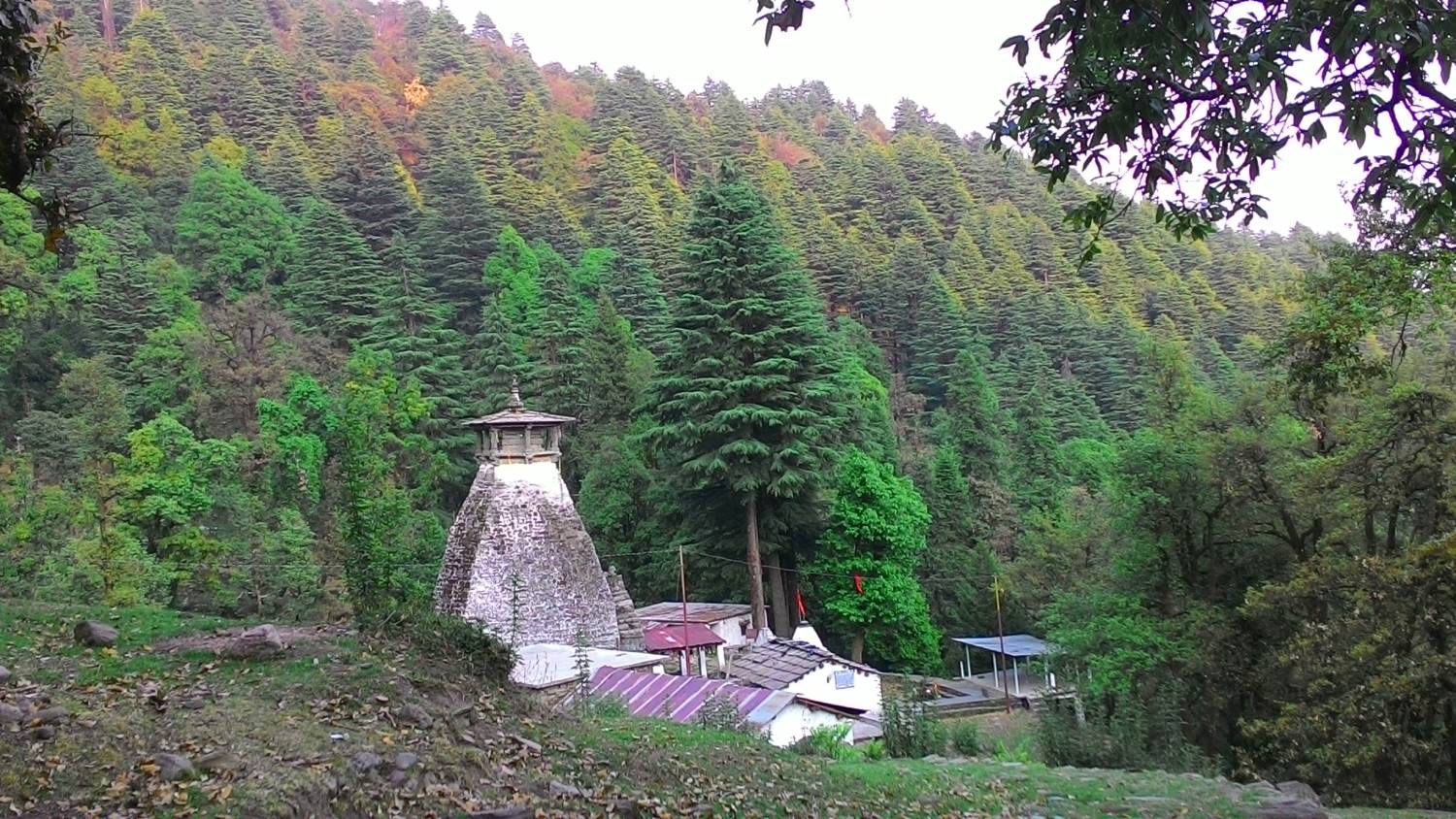 Attraction image
